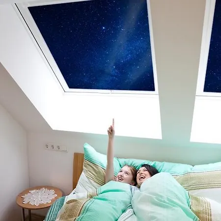 Haus Rosy Appartement *