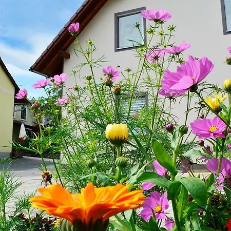 Haus Rosy * Stubenberg